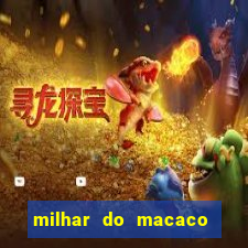 milhar do macaco que mais saem no jogo do bicho