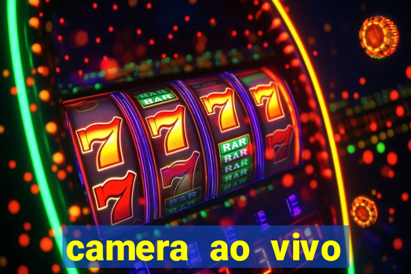 camera ao vivo terminal vila nova cachoeirinha