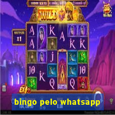 bingo pelo whatsapp