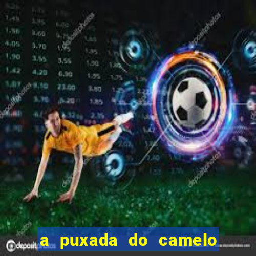 a puxada do camelo no jogo do bicho