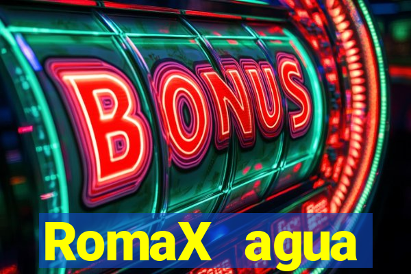 RomaX agua sanitaria fispq agua sanitaria romax