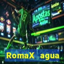 RomaX agua sanitaria fispq agua sanitaria romax