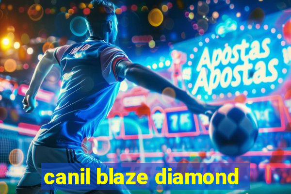 canil blaze diamond