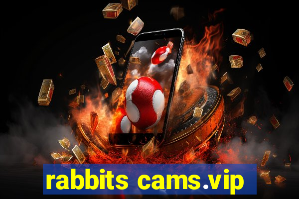 rabbits cams.vip