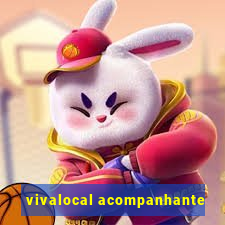 vivalocal acompanhante