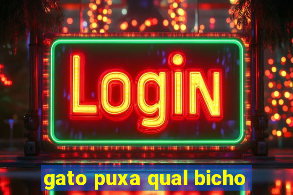 gato puxa qual bicho