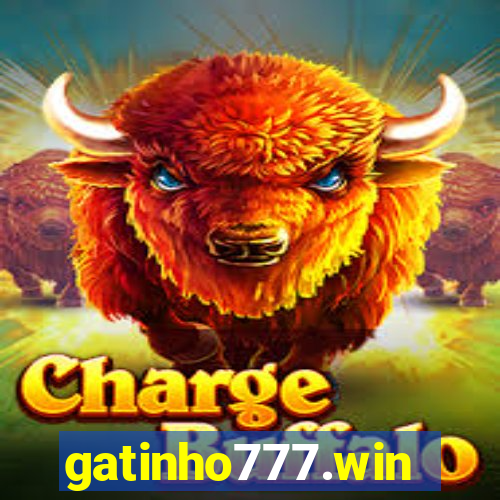 gatinho777.win