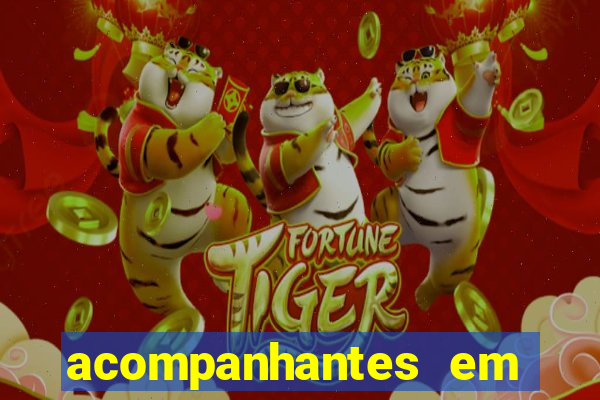 acompanhantes em porto seguro