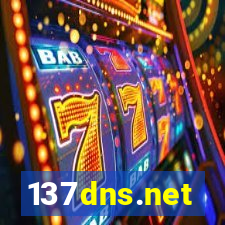 137dns.net