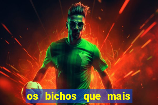 os bichos que mais saem na loteria federal