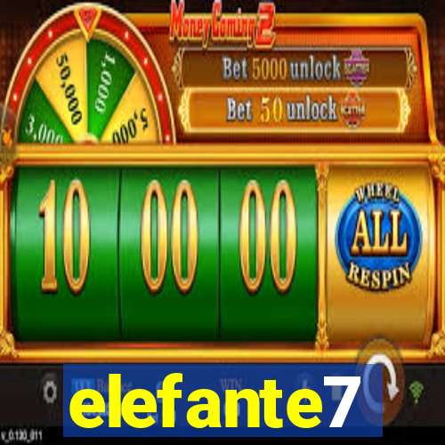 elefante7