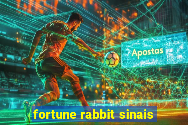 fortune rabbit sinais