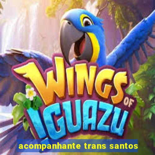 acompanhante trans santos