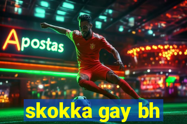 skokka gay bh
