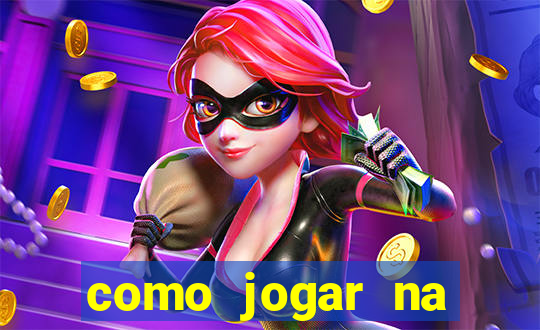 como jogar na lotinha do jogo do bicho