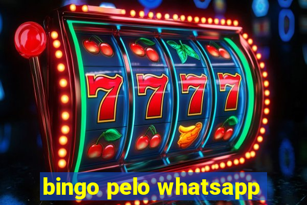 bingo pelo whatsapp
