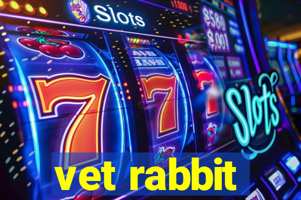 vet rabbit