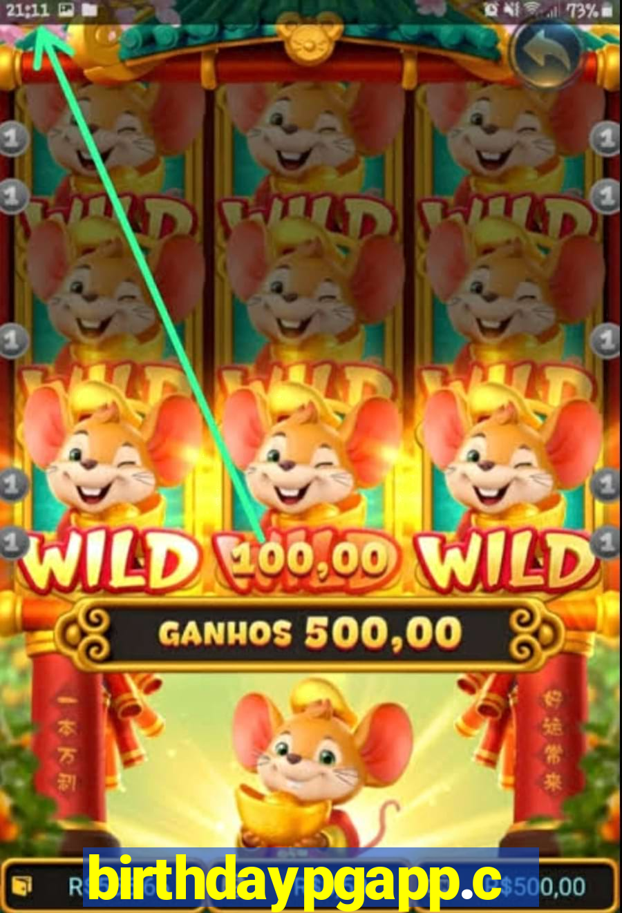 birthdaypgapp.com
