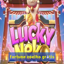 fortune coelho grátis