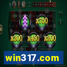 win317.com