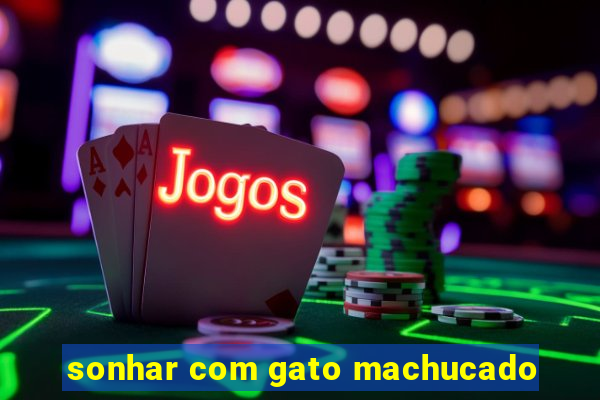 sonhar com gato machucado