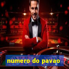 numero do pavao