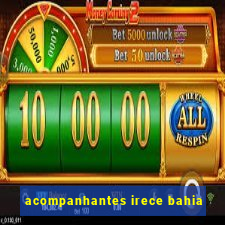 acompanhantes irece bahia