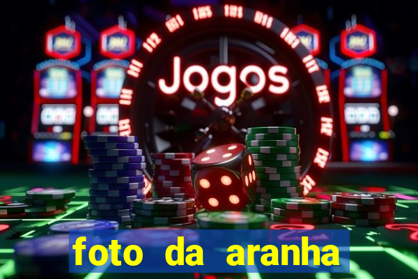 foto da aranha mais feia do mundo