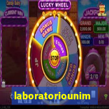laboratoriounimedblumenau.com.br