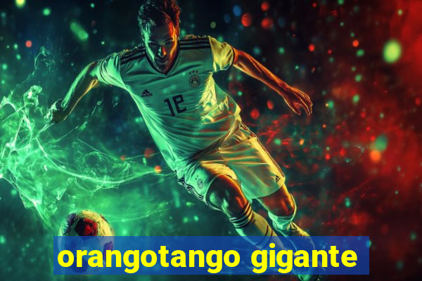 orangotango gigante