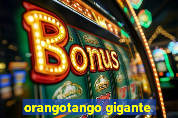 orangotango gigante