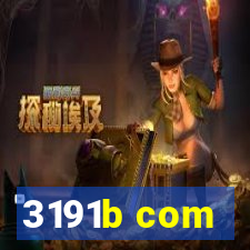 3191b com