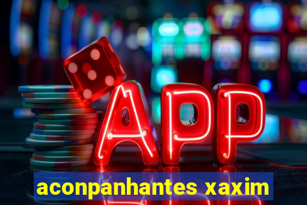 aconpanhantes xaxim