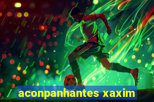 aconpanhantes xaxim