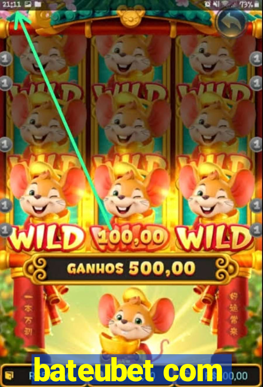 bateubet com