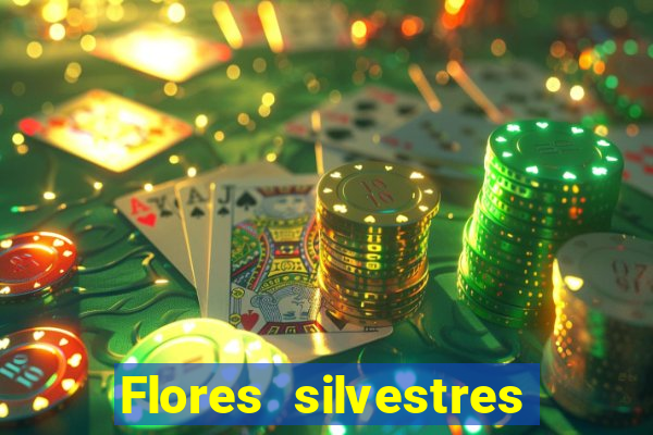 Flores silvestres brasileiras brasileiras flores silvestres nomes e imagens