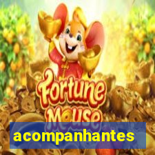 acompanhantes gordinhas santos