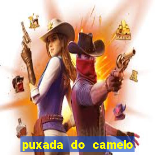 puxada do camelo no jogo do bicho