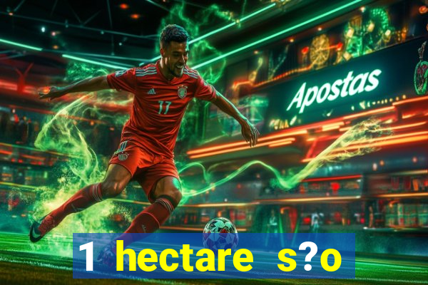 1 hectare s?o quantas tarefas na bahia