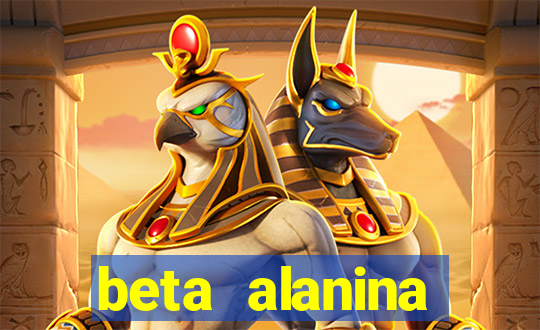beta alanina aumenta a pressao