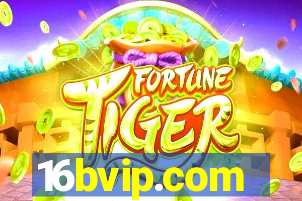 16bvip.com
