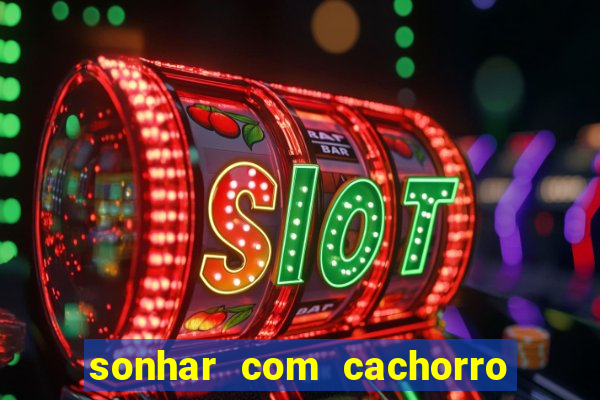 sonhar com cachorro morto jogo do bicho