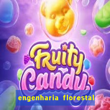 engenharia florestal ead cruzeiro do sul