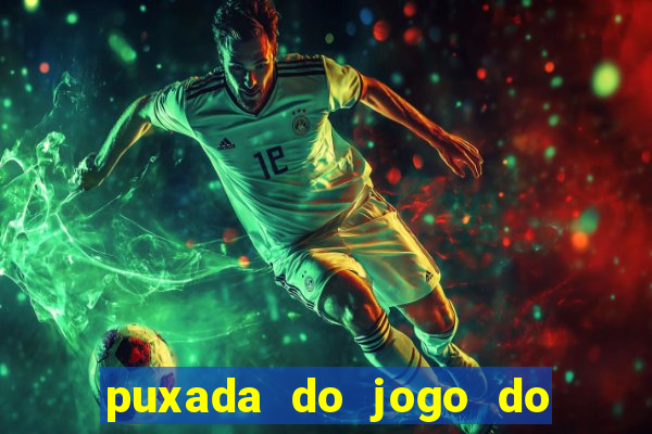 puxada do jogo do bicho da sueli