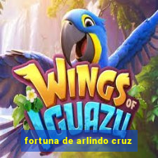 fortuna de arlindo cruz