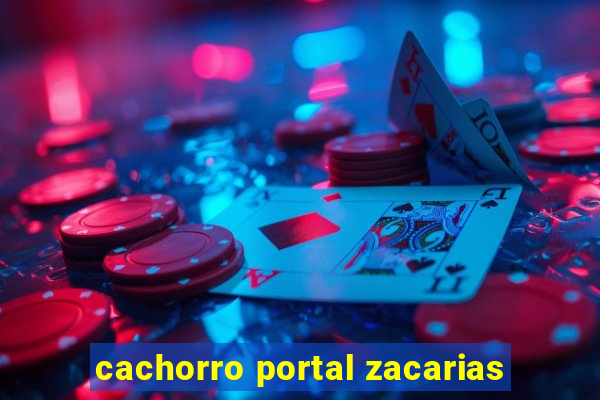 cachorro portal zacarias