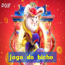 jogo do bicho natal rn