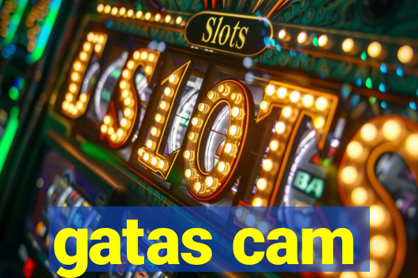 gatas cam