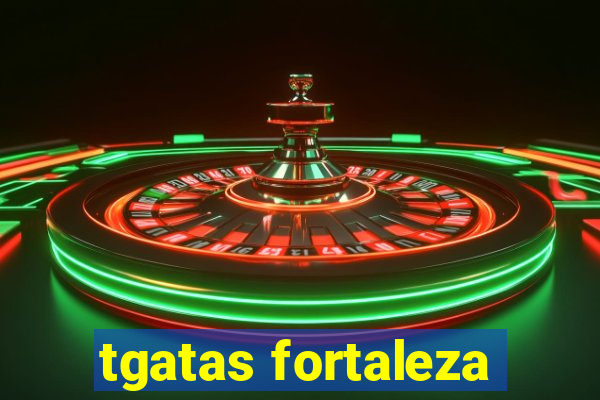 tgatas fortaleza
