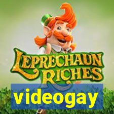 videogay